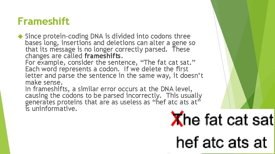 Frameshift Since protein-coding DNA is divided into codons three bases long, insertions and deletions