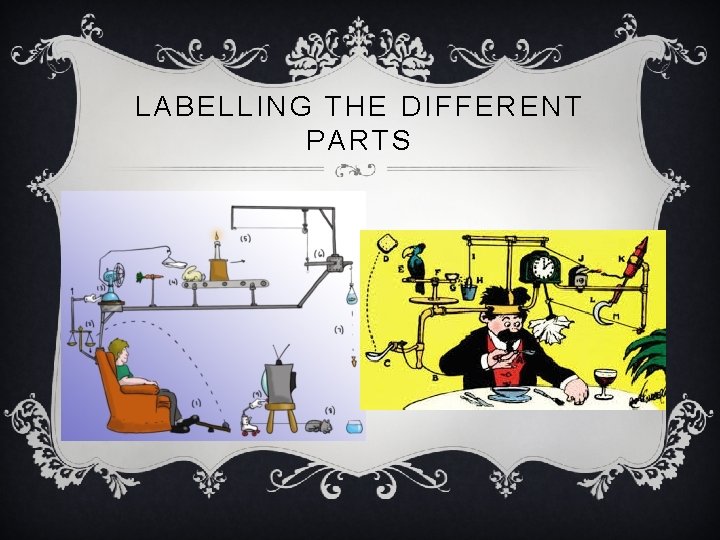 LABELLING THE DIFFERENT PARTS 