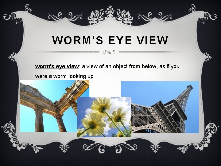 WORM'S EYE VIEW worm's eye view: a view of an object from below, as