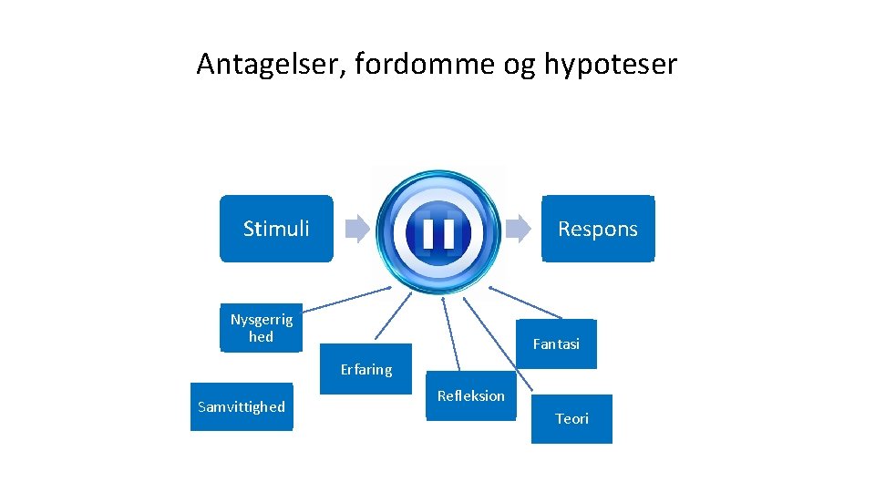 Antagelser, fordomme og hypoteser Frihed til at vælge Stimuli Nysgerrig hed Respons Fantasi Erfaring