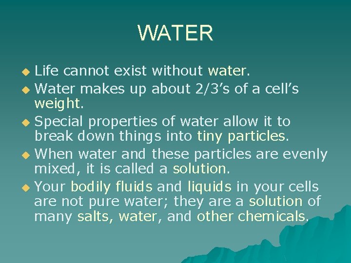 WATER Life cannot exist without water. u Water makes up about 2/3’s of a