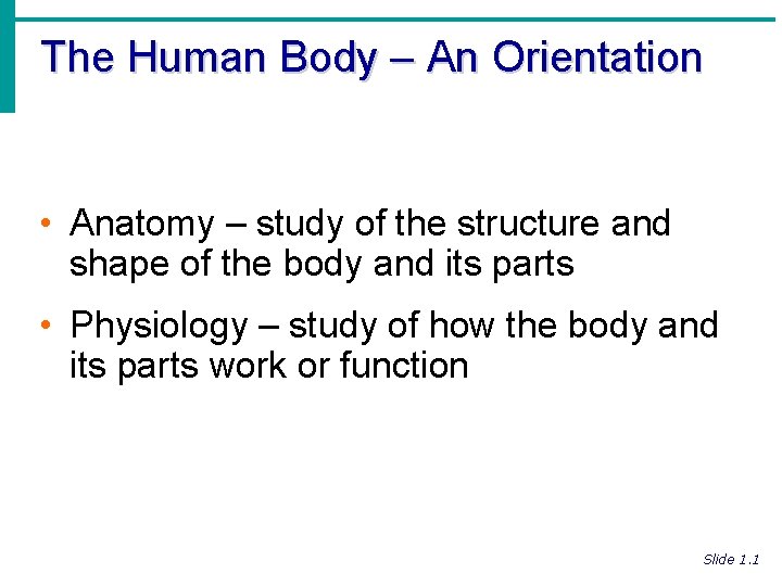 The Human Body – An Orientation • Anatomy – study of the structure and