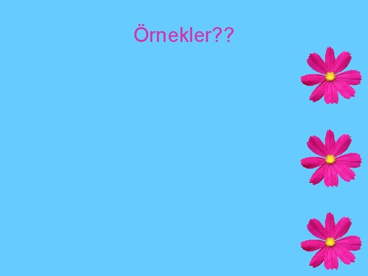 Örnekler? ? 