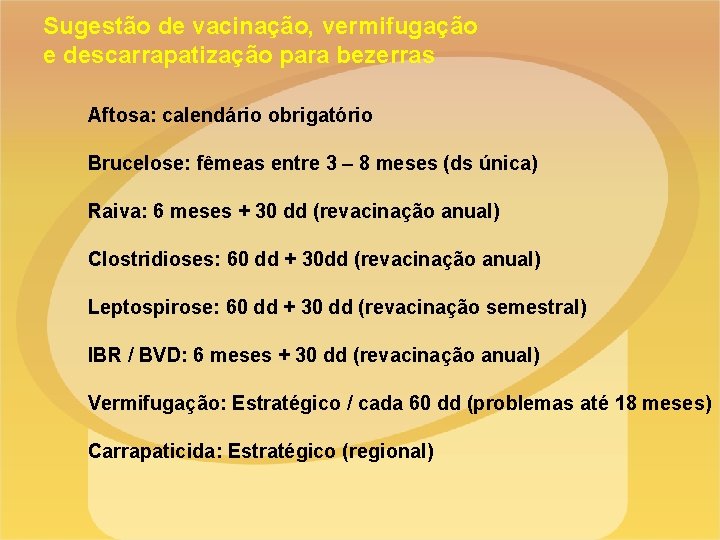 Sugestão de vacinação, vermifugação e descarrapatização para bezerras Aftosa: calendário obrigatório Brucelose: fêmeas entre