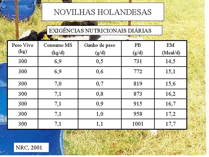 NOVILHAS HOLANDESAS EXIGÊNCIAS NUTRICIONAIS DIÁRIAS Peso Vivo (kg) Consumo MS (kg/d) Ganho de peso