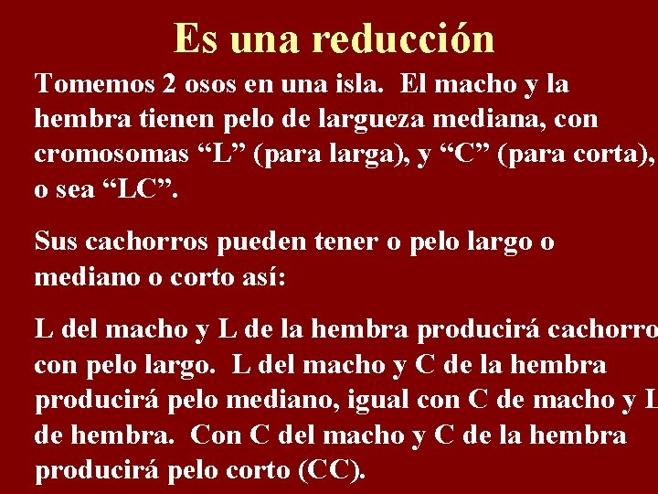 Es una reducción Tomemos 2 osos en una isla. El macho y la hembra
