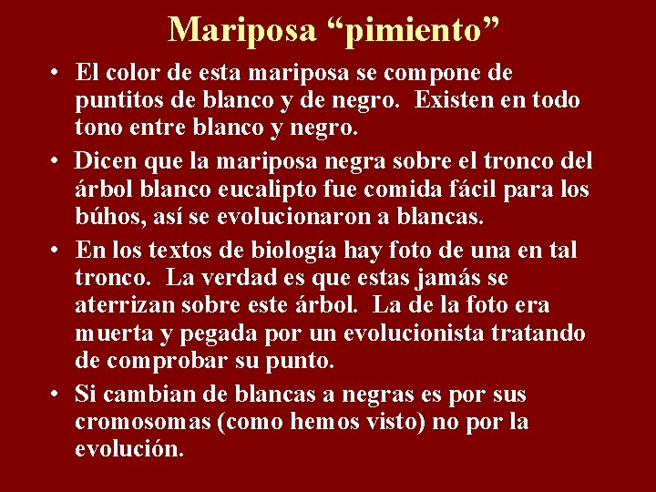 Mariposa “pimiento” • El color de esta mariposa se compone de puntitos de blanco