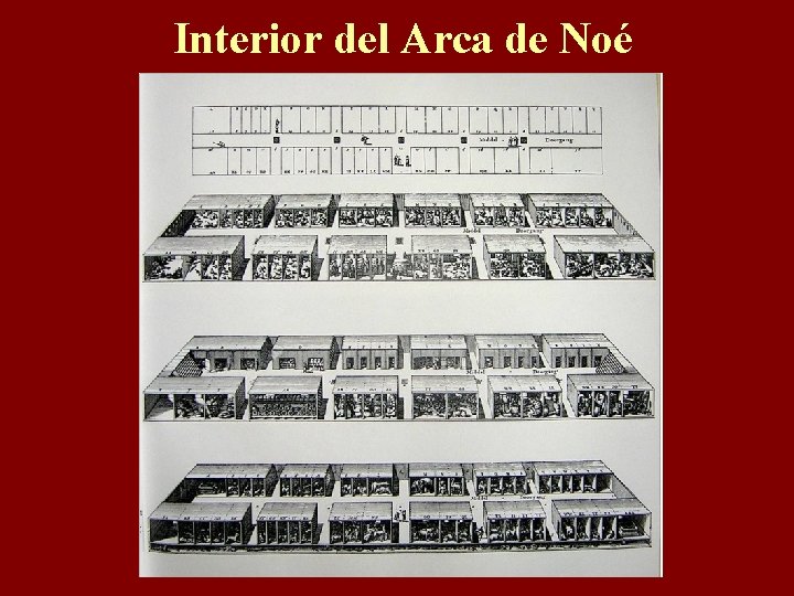 Interior del Arca de Noé 