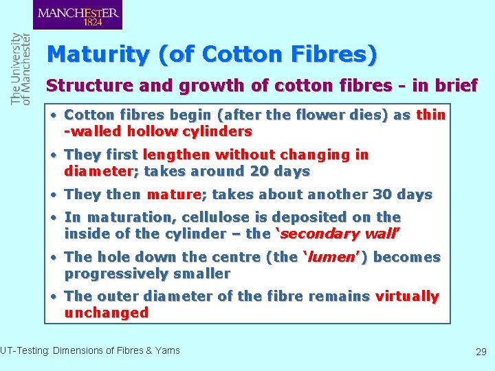 Maturity (of Cotton Fibres) Structure and growth of cotton fibres - in brief •