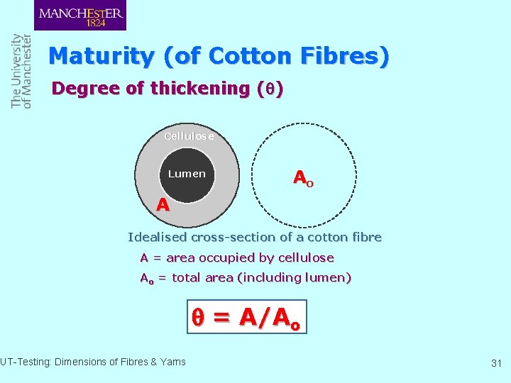 Maturity (of Cotton Fibres) Degree of thickening ( ) Cellulose Lumen Ao A Idealised
