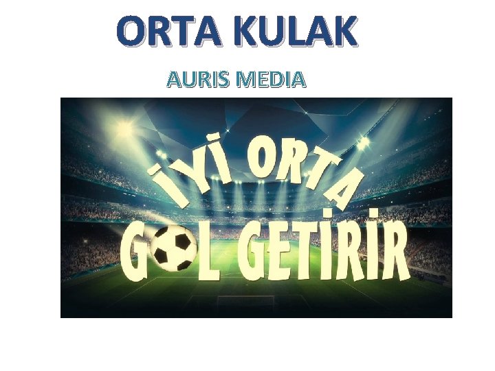 ORTA KULAK AURIS MEDIA ORTA KULAK AURIS MEDIA