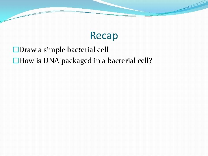 Recap �Draw a simple bacterial cell �How is DNA packaged in a bacterial cell?