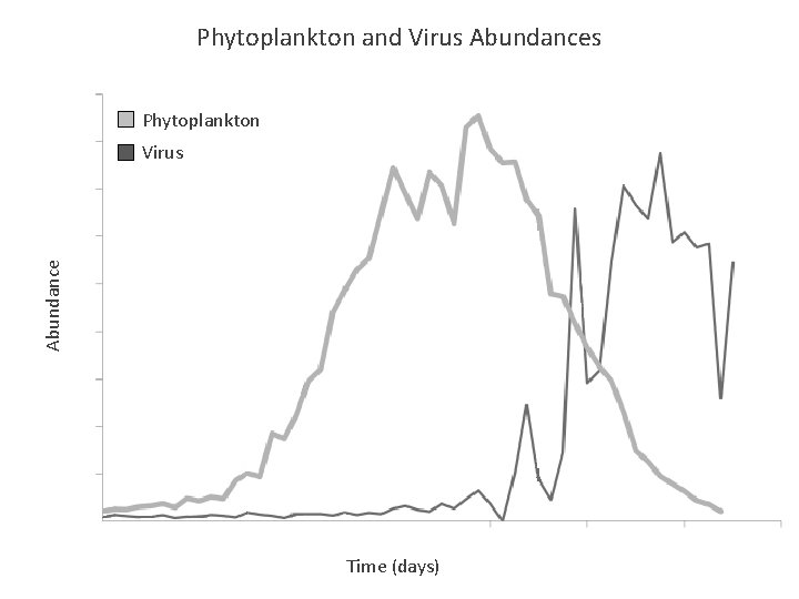 Phytoplankton and Virus Abundances Phytoplankton Abundance Virus Time (days) 