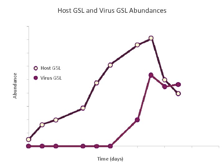 Host GSL and Virus GSL Abundances Abundance Host GSL Virus GSL Time (days) 