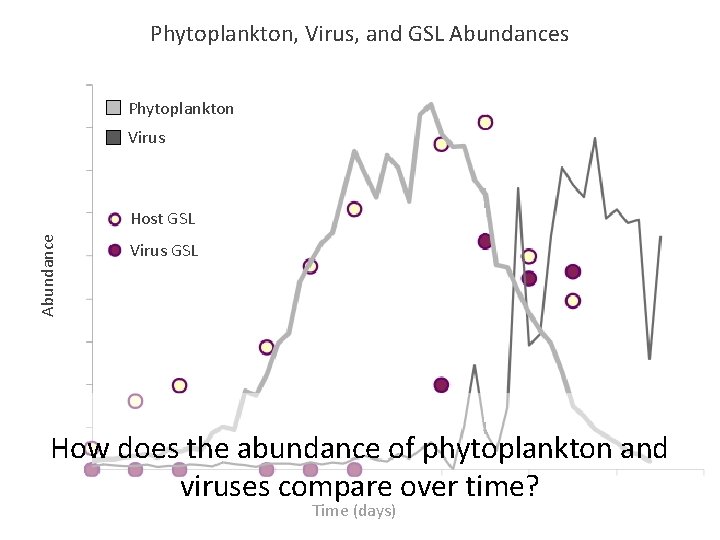 Phytoplankton, Virus, and GSL Abundances Phytoplankton Virus Abundance Host GSL Virus GSL How does