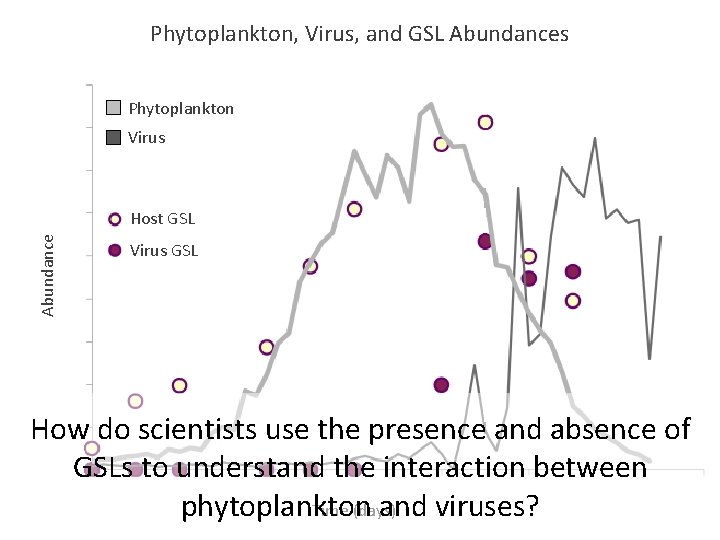 Phytoplankton, Virus, and GSL Abundances Phytoplankton Virus Abundance Host GSL Virus GSL How do