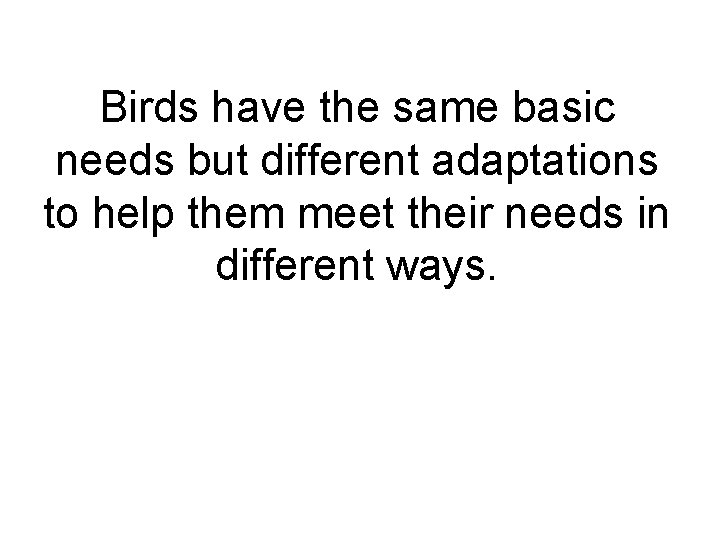 Birds have the same basic needs but different adaptations to help them meet their