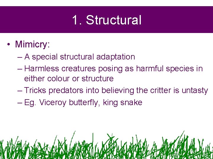 1. Structural • Mimicry: – A special structural adaptation – Harmless creatures posing as