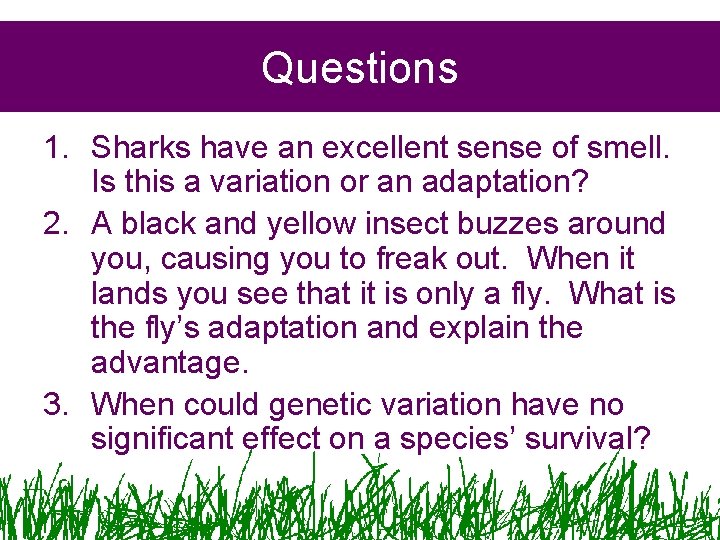 Questions 1. Sharks have an excellent sense of smell. Is this a variation or