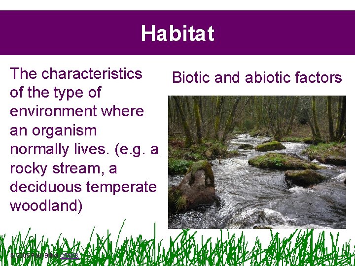 Habitat The characteristics Biotic and abiotic factors of the type of environment where an