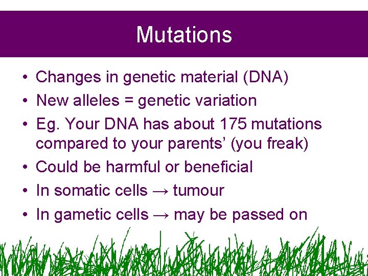 Mutations • Changes in genetic material (DNA) • New alleles = genetic variation •
