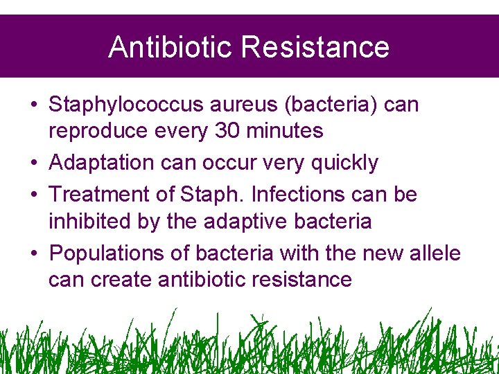 Antibiotic Resistance • Staphylococcus aureus (bacteria) can reproduce every 30 minutes • Adaptation can