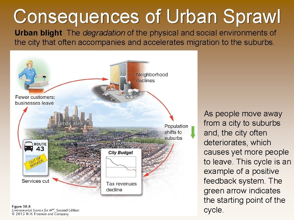 Consequences of Urban Sprawl Urban blight The degradation of the physical and social environments