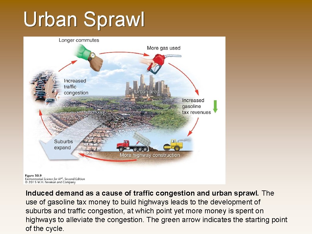 Urban Sprawl Induced demand as a cause of traffic congestion and urban sprawl. The