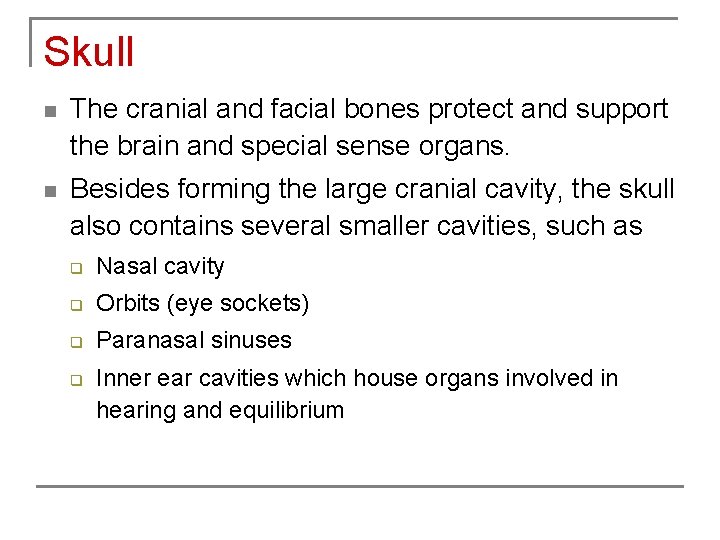 Skull n The cranial and facial bones protect and support the brain and special