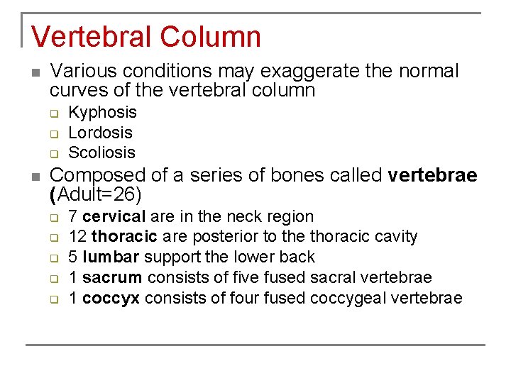 Vertebral Column n Various conditions may exaggerate the normal curves of the vertebral column