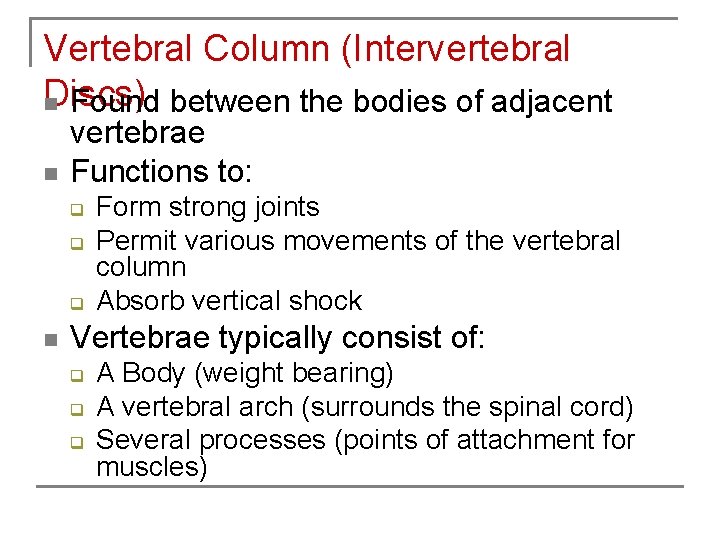 Vertebral Column (Intervertebral Discs) n Found between the bodies of adjacent n vertebrae Functions