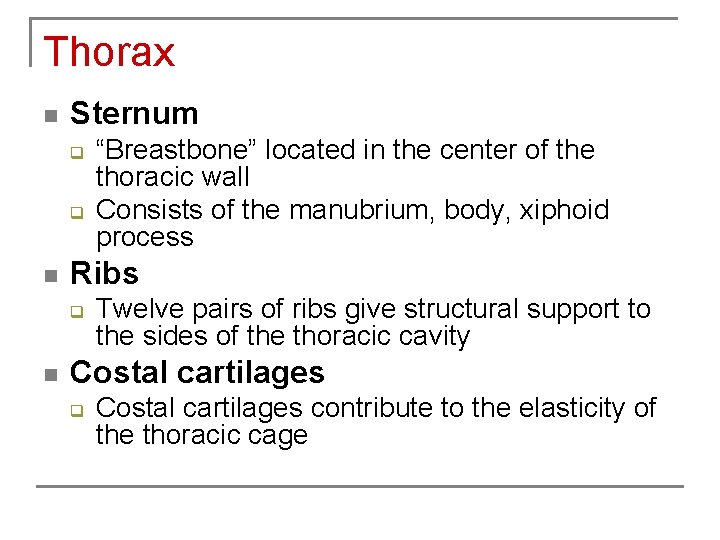 Thorax n Sternum q q n Ribs q n “Breastbone” located in the center