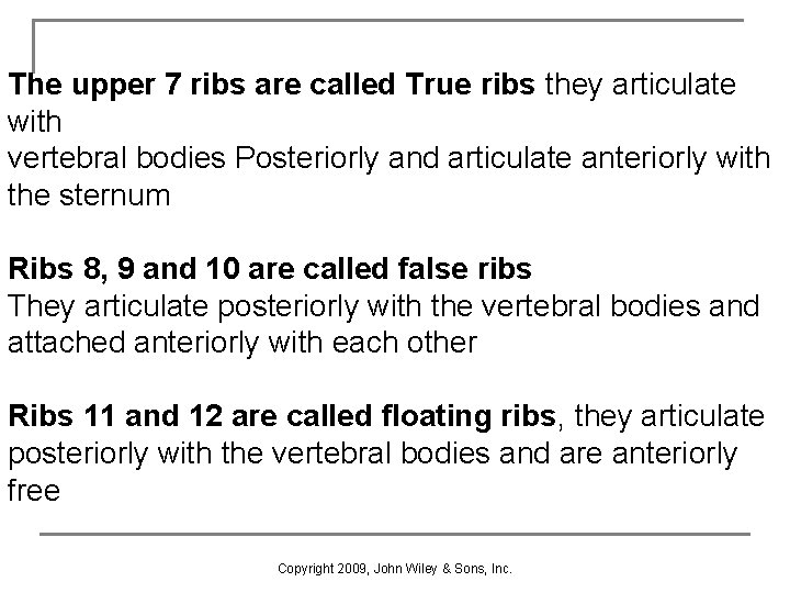 The upper 7 ribs are called True ribs they articulate with vertebral bodies Posteriorly