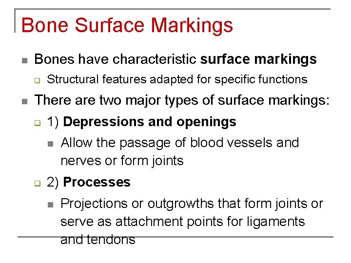 Bone Surface Markings n Bones have characteristic surface markings q n Structural features adapted