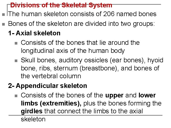 n n Divisions of the Skeletal System The human skeleton consists of 206 named