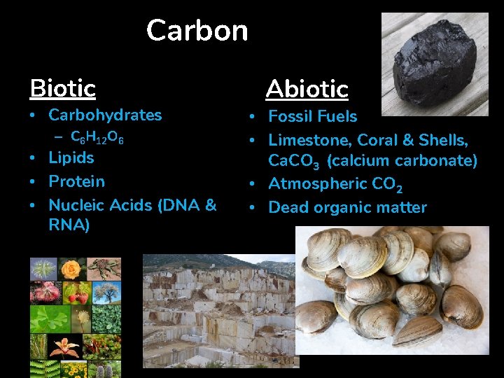 Carbon Biotic • Carbohydrates – C 6 H 12 O 6 • Lipids • Carbon Biotic • Carbohydrates – C 6 H 12 O 6 • Lipids •