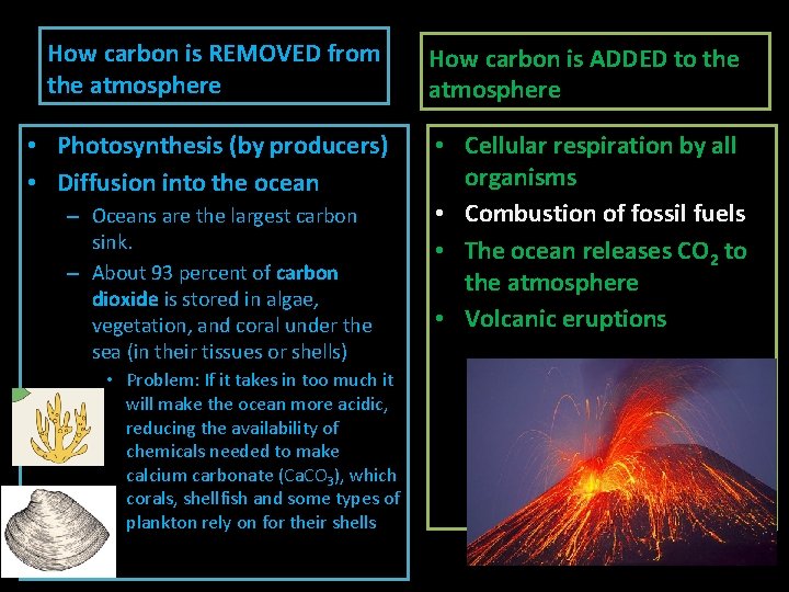 How carbon is REMOVED from the atmosphere How carbon is ADDED to the atmosphere How carbon is REMOVED from the atmosphere How carbon is ADDED to the atmosphere