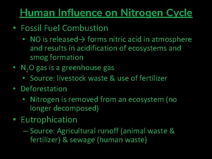 Human Influence on Nitrogen Cycle • Fossil Fuel Combustion • NO is released→ forms Human Influence on Nitrogen Cycle • Fossil Fuel Combustion • NO is released→ forms