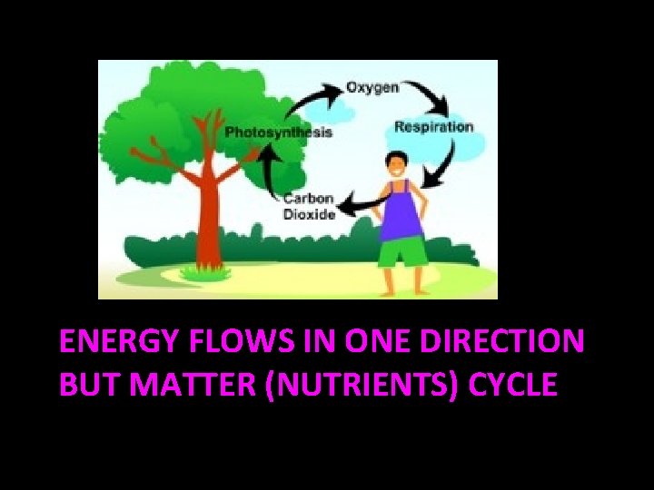 ENERGY FLOWS IN ONE DIRECTION BUT MATTER (NUTRIENTS) CYCLE ENERGY FLOWS IN ONE DIRECTION BUT MATTER (NUTRIENTS) CYCLE