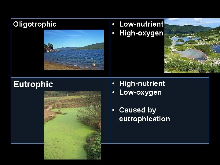 Oligotrophic • Low-nutrient • High-oxygen Eutrophic • High-nutrient • Low-oxygen • Caused by eutrophication Oligotrophic • Low-nutrient • High-oxygen Eutrophic • High-nutrient • Low-oxygen • Caused by eutrophication