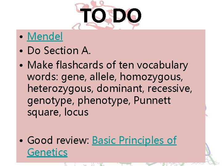 TO DO • Mendel • Do Section A. • Make flashcards of ten vocabulary