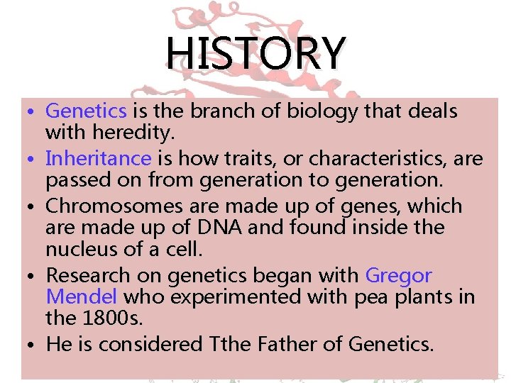 HISTORY • Genetics is the branch of biology that deals with heredity. • Inheritance