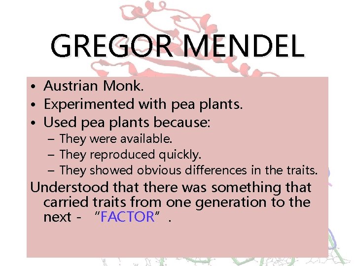 GREGOR MENDEL • • • Austrian Monk. Experimented with pea plants. Used pea plants