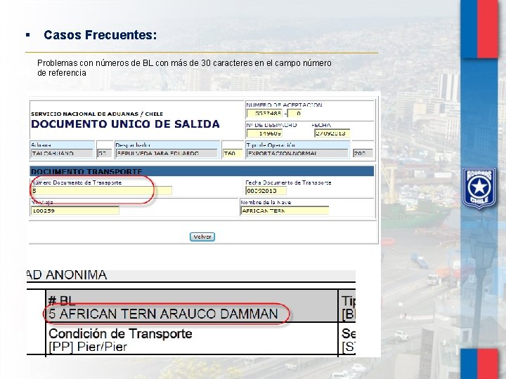 § Casos Frecuentes: Problemas con números de BL con más de 30 caracteres en