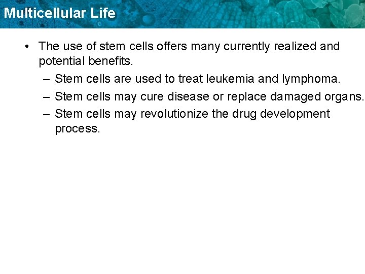 Multicellular Life • The use of stem cells offers many currently realized and potential