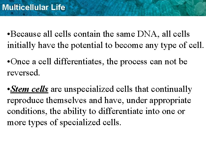 Multicellular Life • Because all cells contain the same DNA, all cells initially have