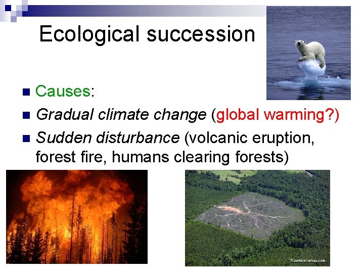 Ecological succession Causes: n Gradual climate change (global warming? ) n Sudden disturbance (volcanic