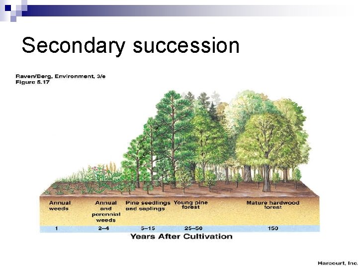 Secondary succession 