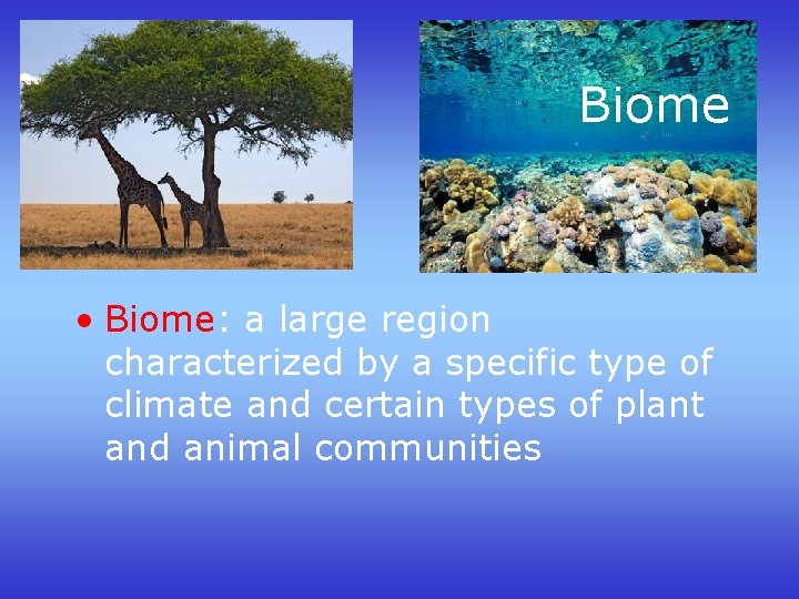 Biome • Biome: a large region characterized by a specific type of climate and