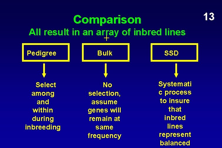 13 Comparison All result in an array of inbred lines Pedigree Bulk Select among